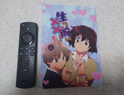 表紙の写真。サイズ比較にAmazon棒。