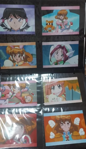 ファイルに仕舞われたブロマイドの写真