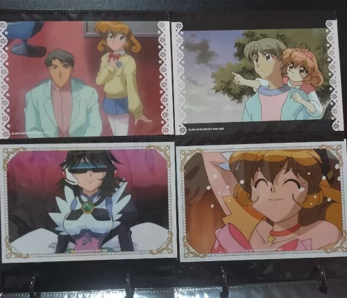 コレユイのイラストカードをファイルに収めている写真