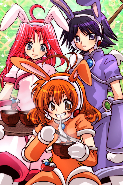 ソイルエレメントスーツのトリプルコレクター